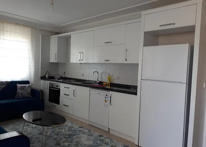 Demir Apart-otel 卡斯