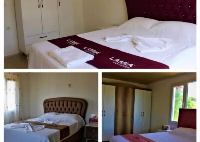 Demir Apart-otel 卡斯