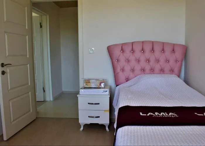 Demir Apart-otel 卡斯